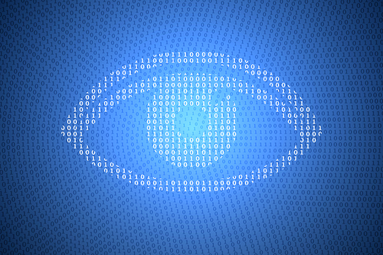 Biometrie zur Steigerung der Internetsicherheit