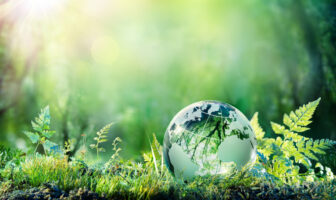 Nachhaltigkeit und Green Banking gewinnen an Bedeutung