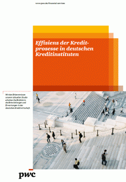 Effizienz der Kreditprozesse in deutschen Kreditinstituten