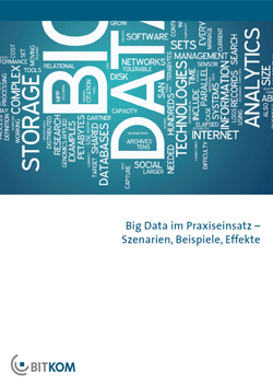 Leitfaden zu Big Data im Praxiseinsatz – Szenarien, Beispiele, Effekte
