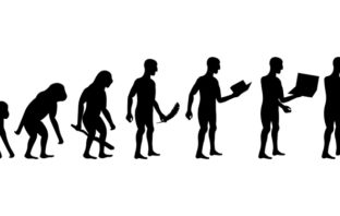 Die moderne Evolution des Homo Sapiens