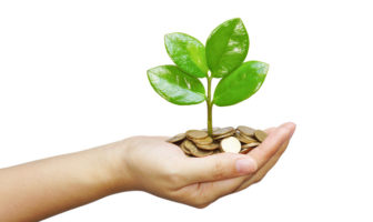 Steigender Nutzen nachhaltiger Geldanlagen