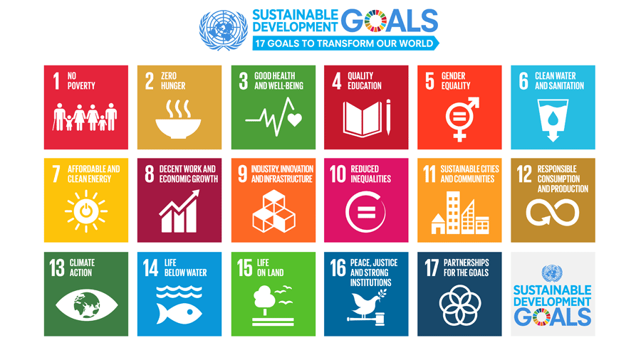 UN-Nachhaltigkeitsziele (Sustainable Development Goals, SDGs)